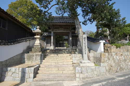 �S�����E��N��̎ʐ^