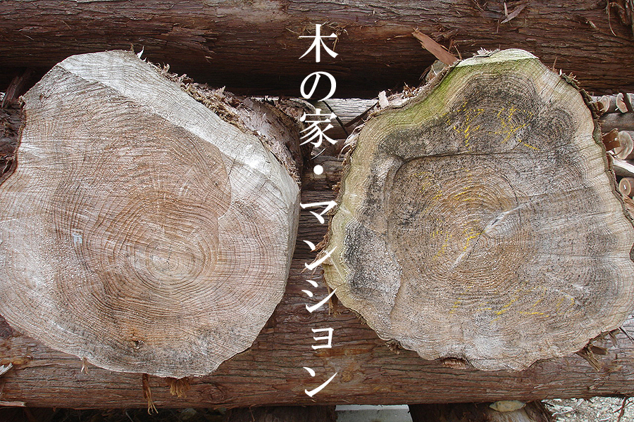 �}���V�������t�H�[����