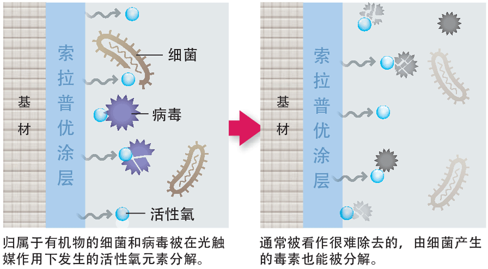 抗菌・抗ウイルス機能イメージ図