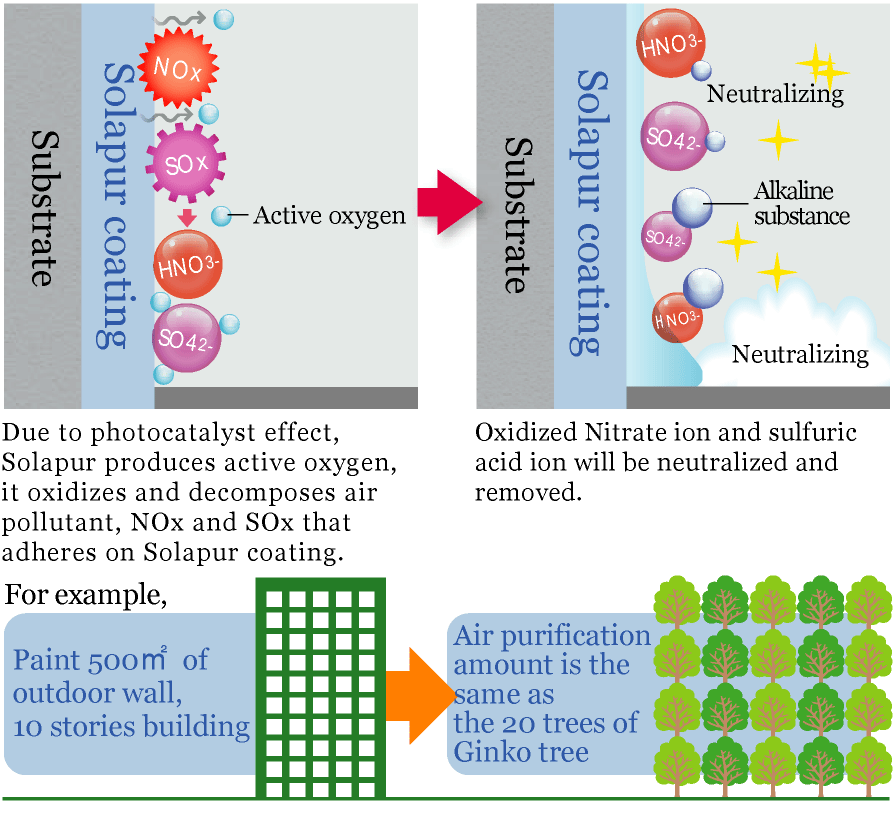大気浄化機能のイメージ図