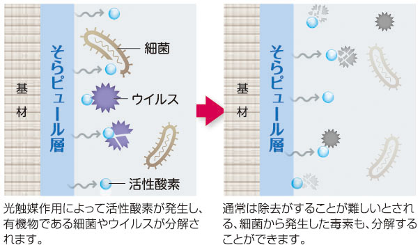 抗菌・抗ウイルス機能のイメージ図